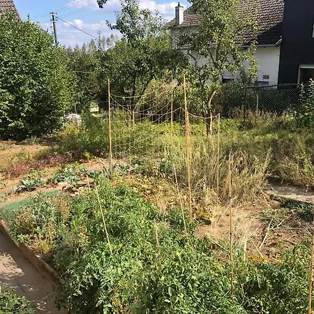 Naturnahes Wohnen In Einem Alten Haus Mit Garten Windeck Exterior photo