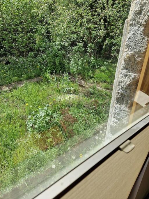 Naturnahes Wohnen In Einem Alten Haus Mit Garten