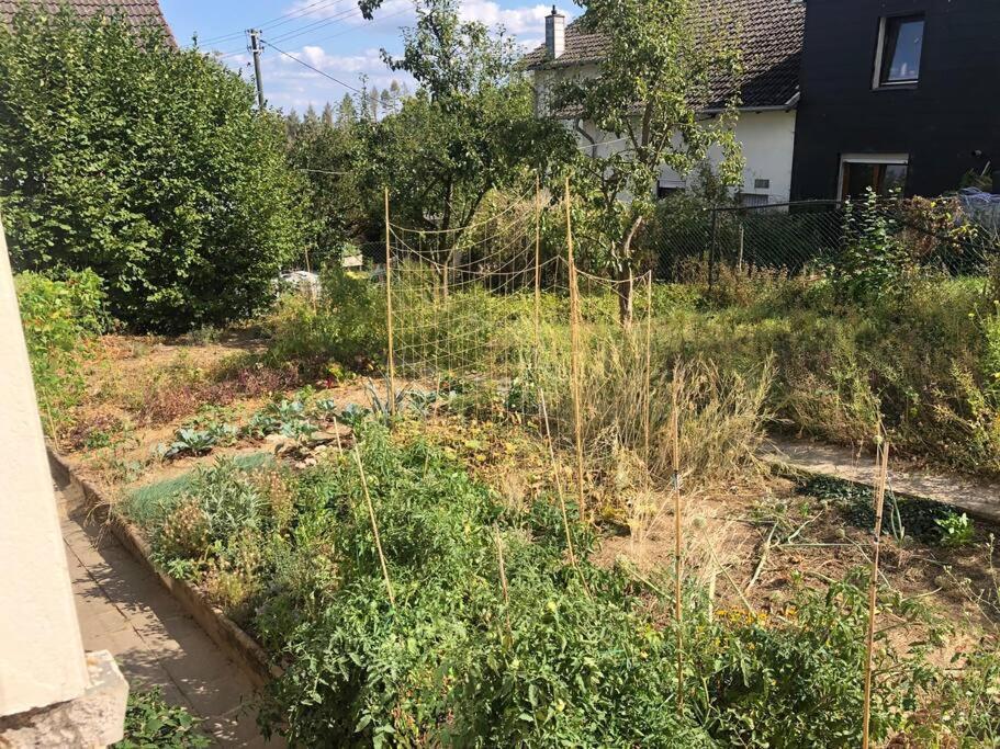 Naturnahes Wohnen In Einem Alten Haus Mit Garten Holiday home Windeck