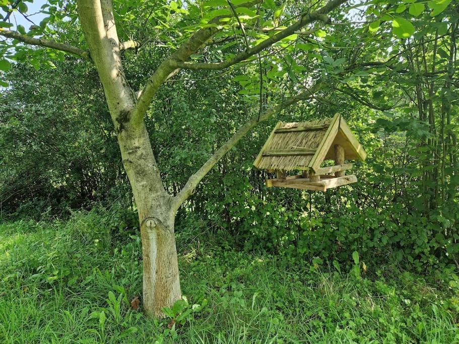 Naturnahes Wohnen In Einem Alten Haus Mit Garten