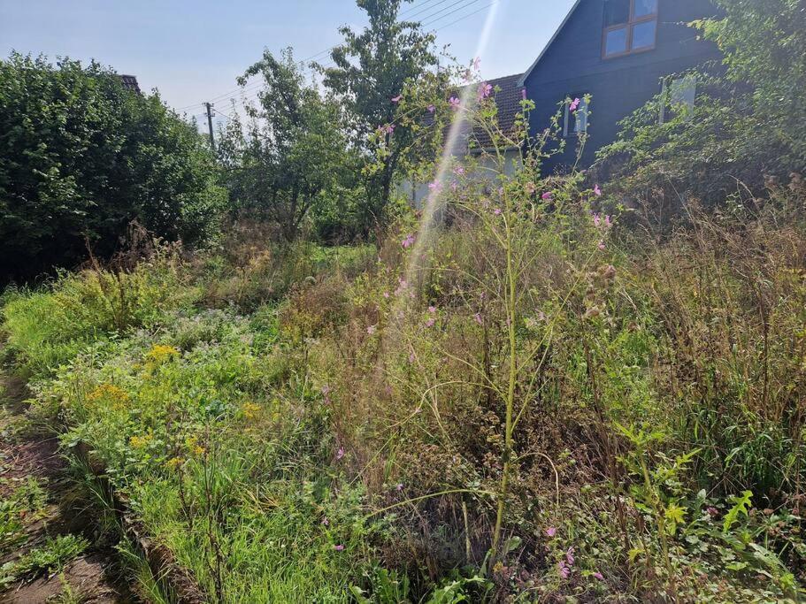 Naturnahes Wohnen In Einem Alten Haus Mit Garten Holiday home Windeck